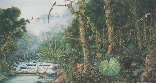 Sendero-los-Quetzales